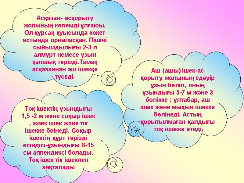 Асқазан- асқорыту жолының көлемді ұлғаюы. Ол құрсақ қуысында көкет астында орналасқан. Пішіні сыйымдылығы 2-3